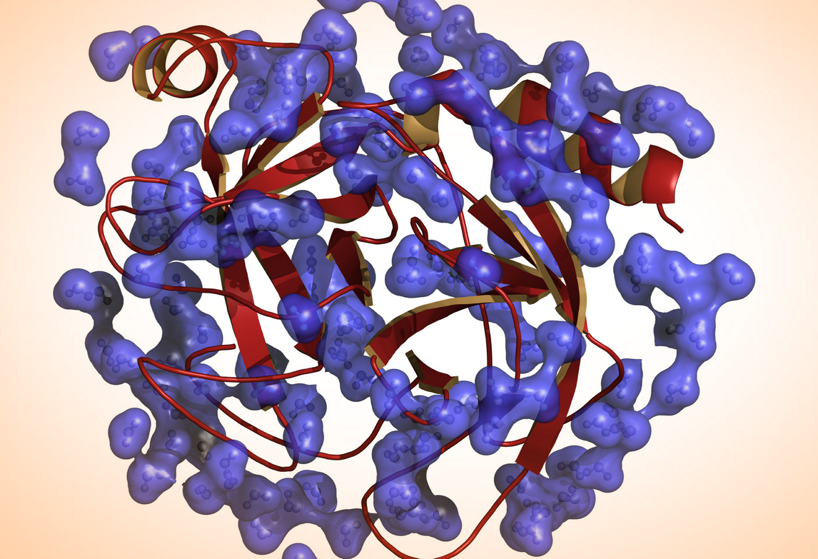 enzyme molecule structure