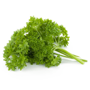 Curly-Parsley
