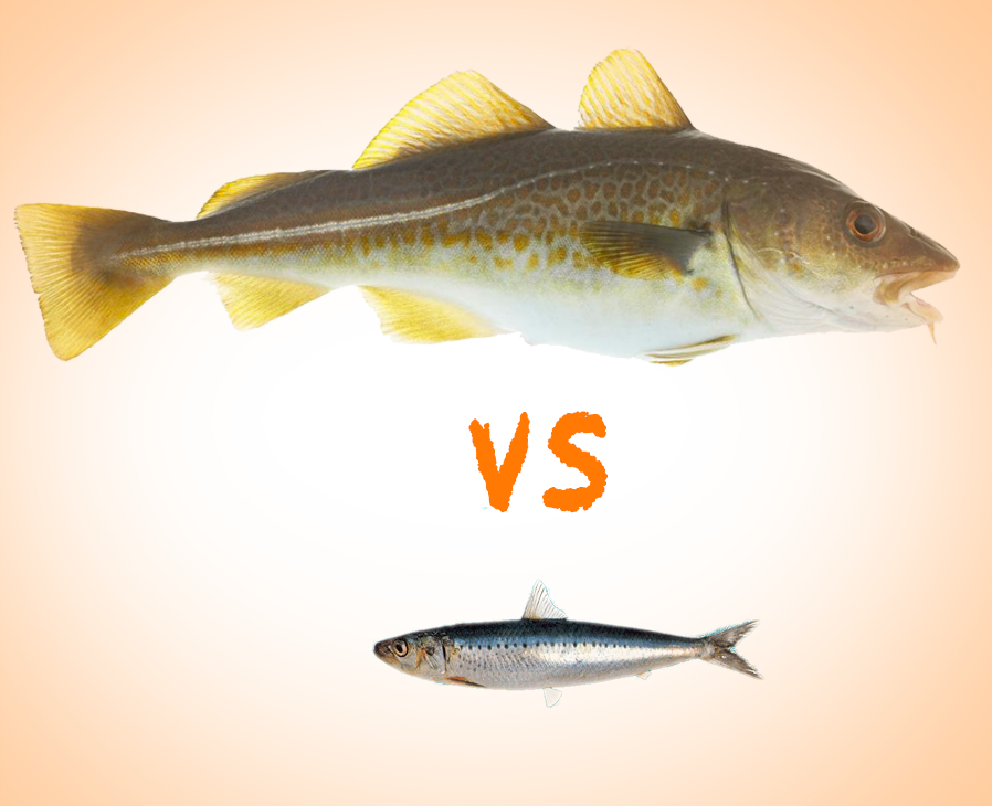 cod-liver-oil-vs-fish-oil-thera-health